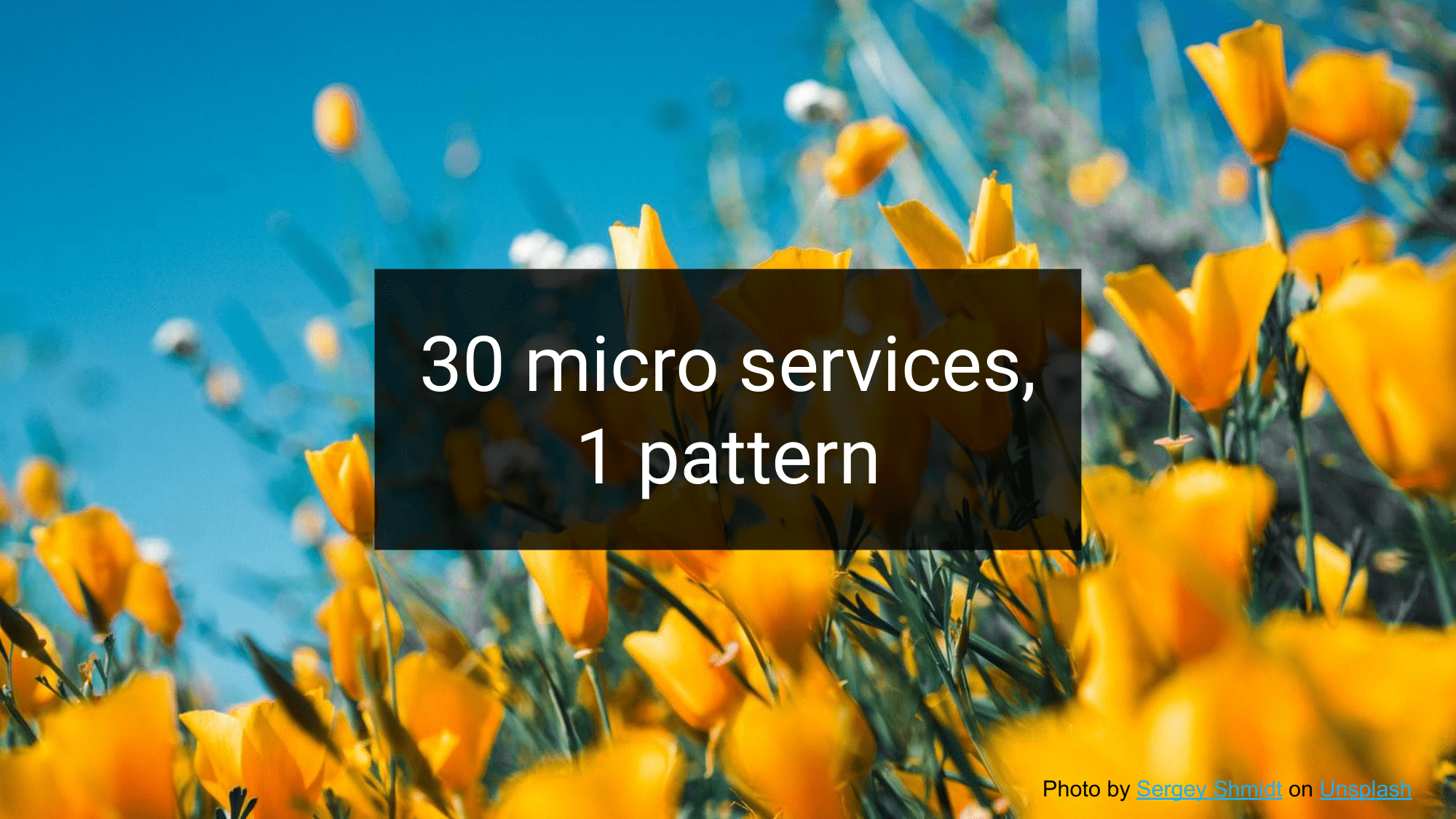 16.-30-microservices-1-pattern