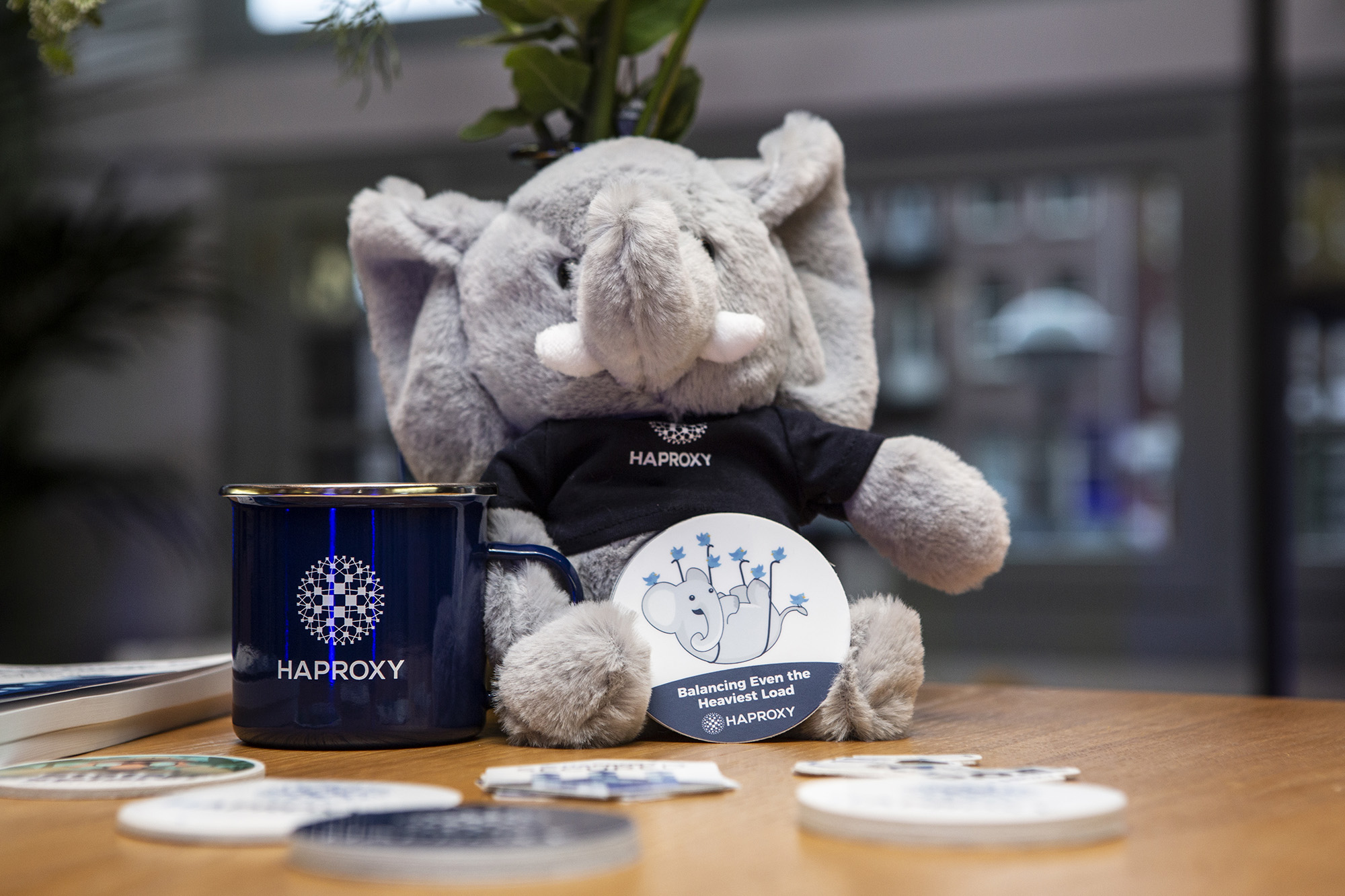 haproxy swag