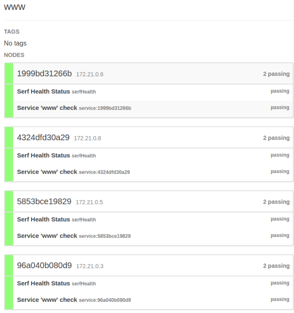 Screenshot showing nodes associated with the “api” service screenshot consul services
